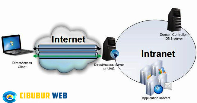 Pengertian dan Perbedaan Internet dan intranet